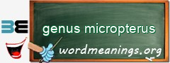 WordMeaning blackboard for genus micropterus